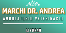 Ambulatorio Veterinario Marchi